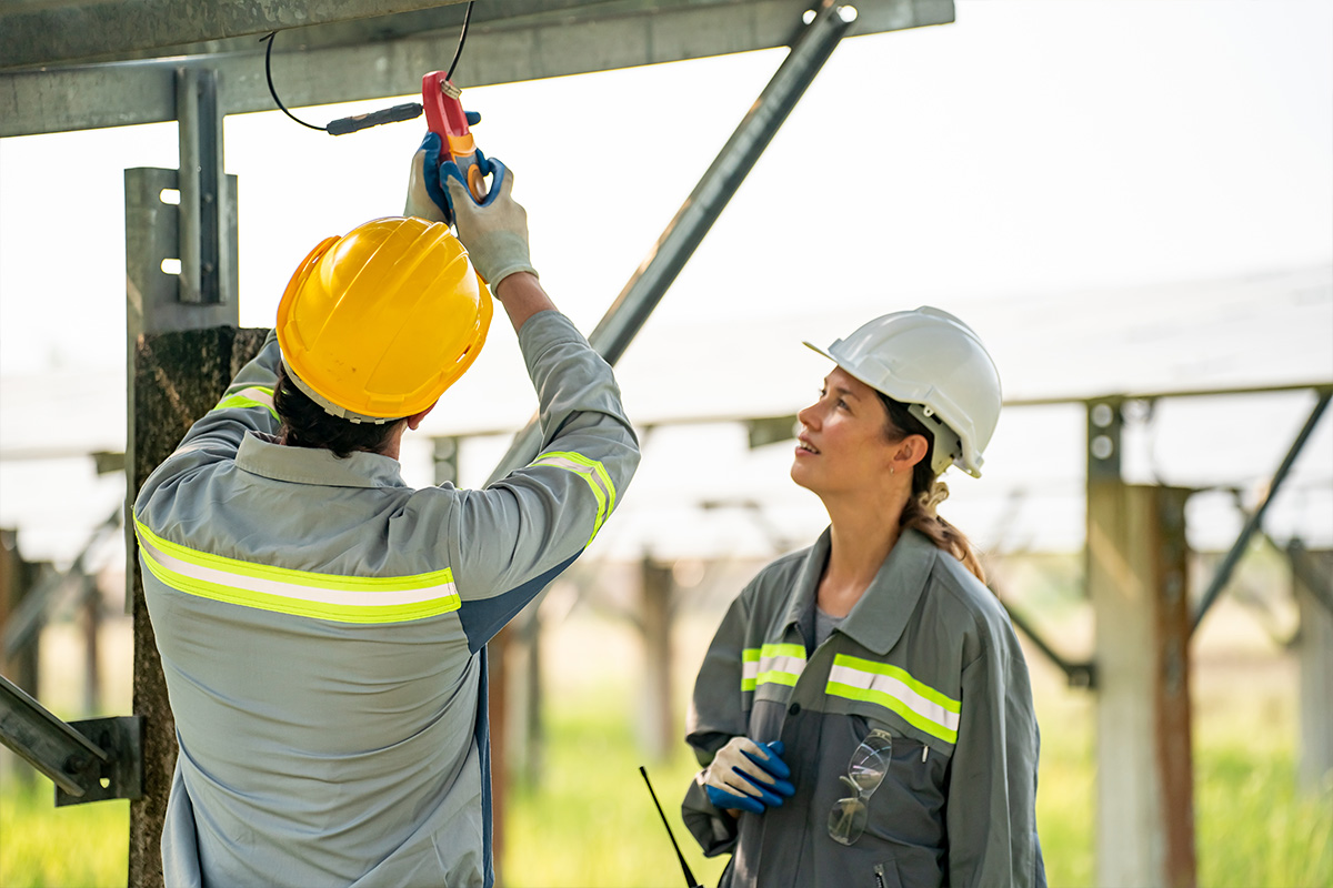 Measurement and inspection